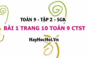 Bài 1 trang 10 Toán 9 tập 2 Chân trời sáng tạo